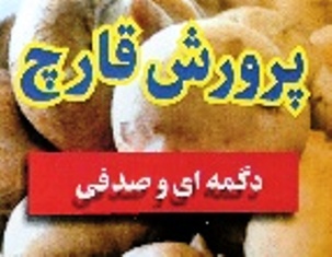 آموزش اصولی و درست کشت قارچ صدفی در خانه و جاهای دیگر آموزش اصولی و درست کشت قارچ صدفی در خانه و جاهای دیگر