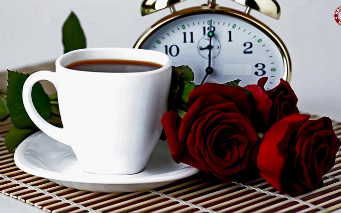 رز قرمز