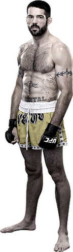 ))>پیش نمایش UFC 185 : Pettis vs. dos Anjos <((