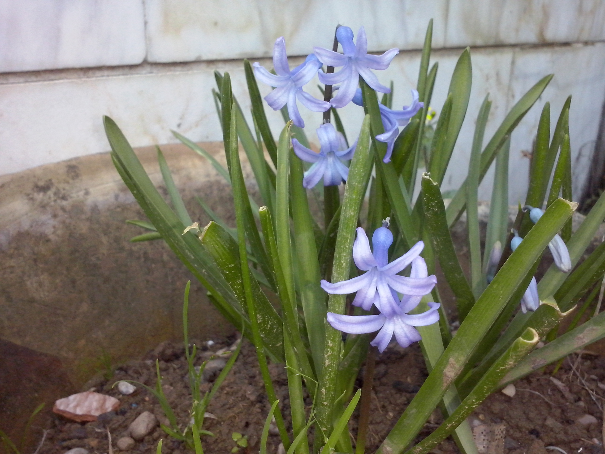CAM00831.jpg
