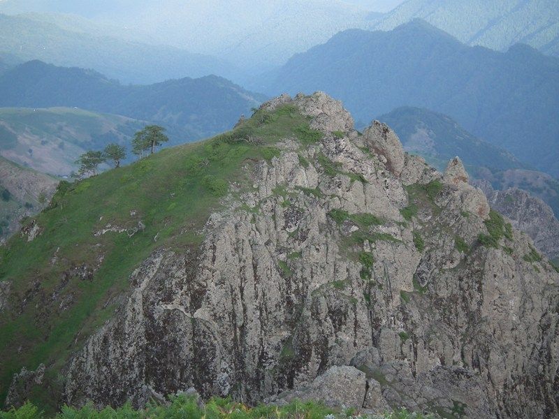 حور