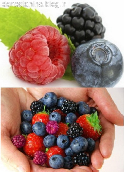 http://s4.picofile.com/file/8181314650/%D9%81%D9%84%D8%A7%D9%88%D9%86%D9%88%D8%A6%DB%8C%D8%AF_1_.jpg