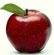 http://s4.picofile.com/file/8182263350/binesh7.jpg