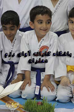 باشگاه فرهنگی ورزشی کاراته آوای رزم دهلران