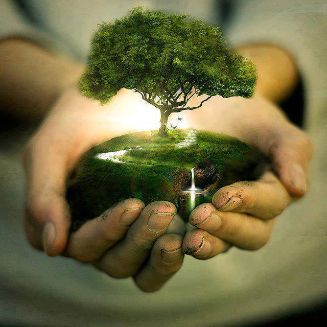 جهان قرآن مصور