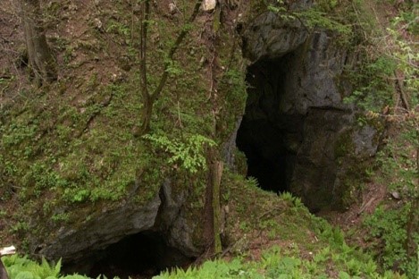 ماسال نیوز غار آویشو