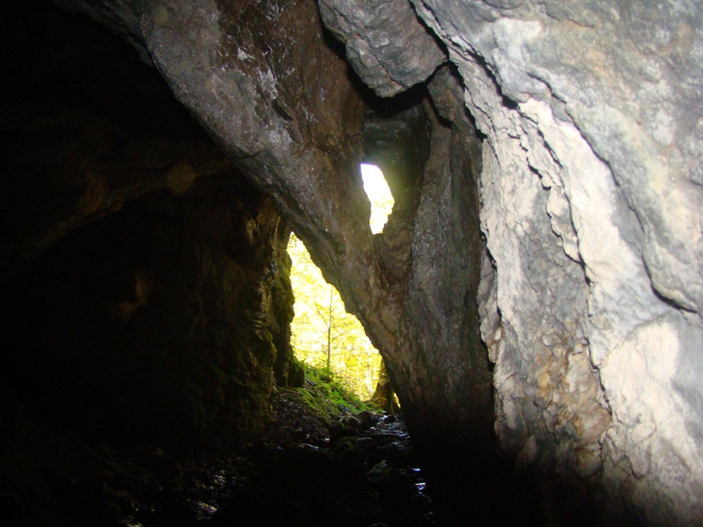 ماسال یوز غار آویشو