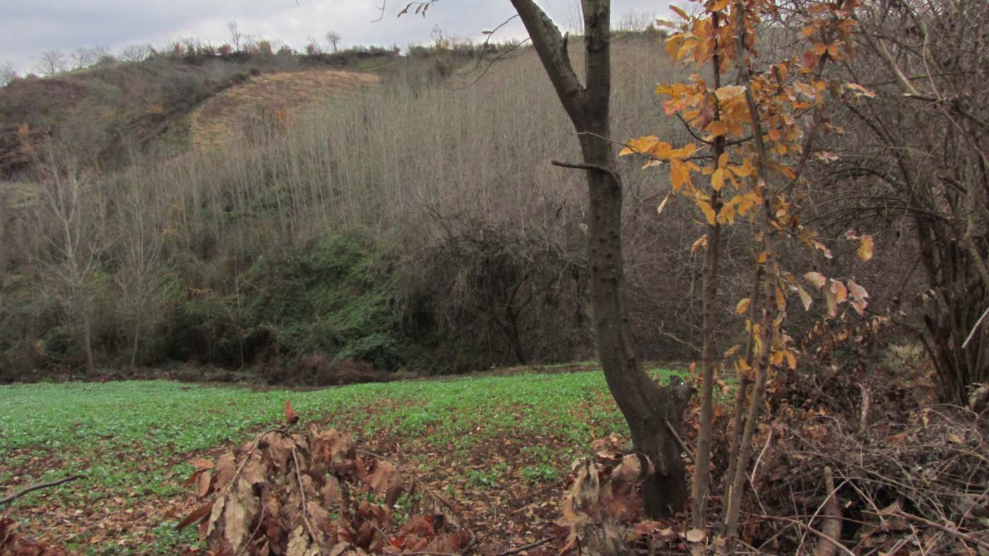 1_24_.jpg (1400×787)