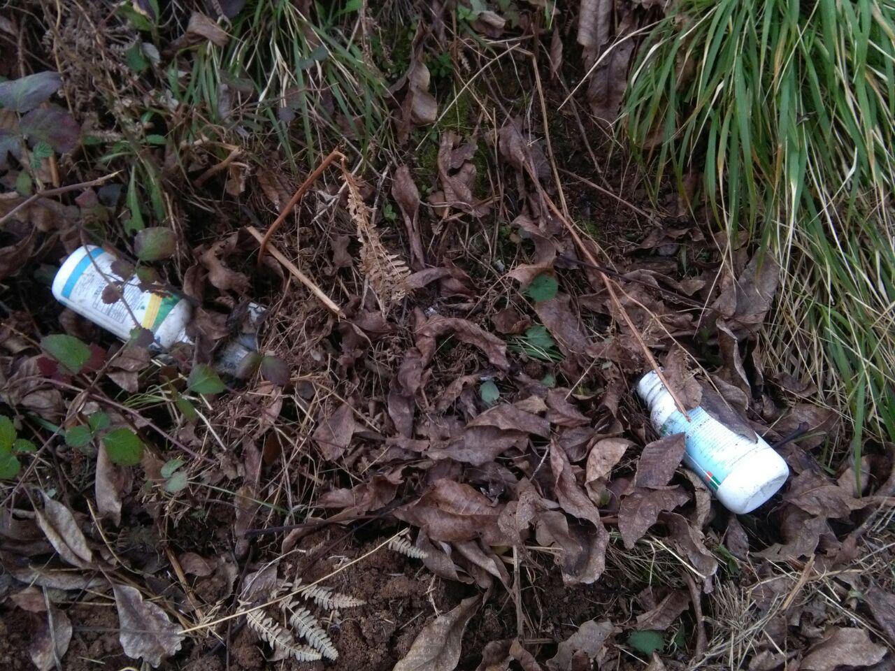 1_9_.jpg (1280×960)