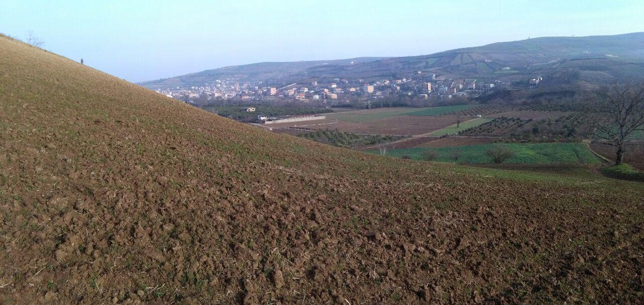 1_13_.jpg (1280×606)