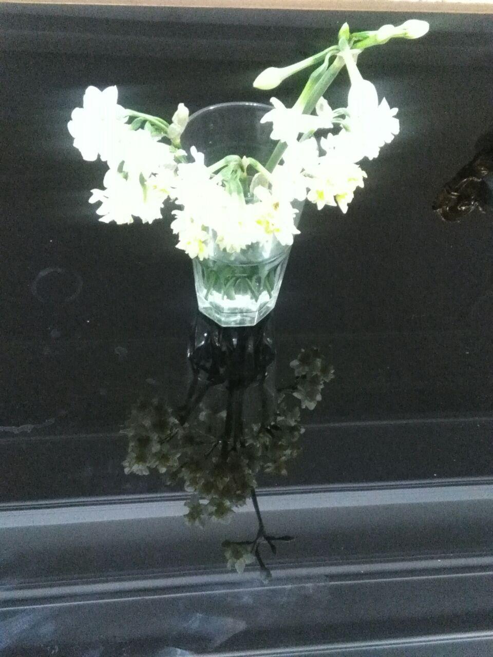 1_33_.jpg (960×1280)