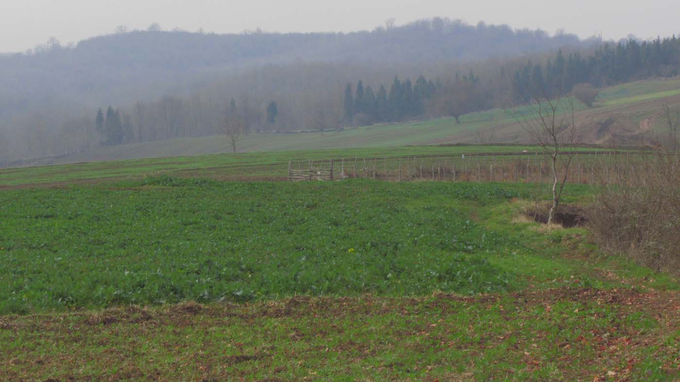 1_40_.jpg (1400×787)