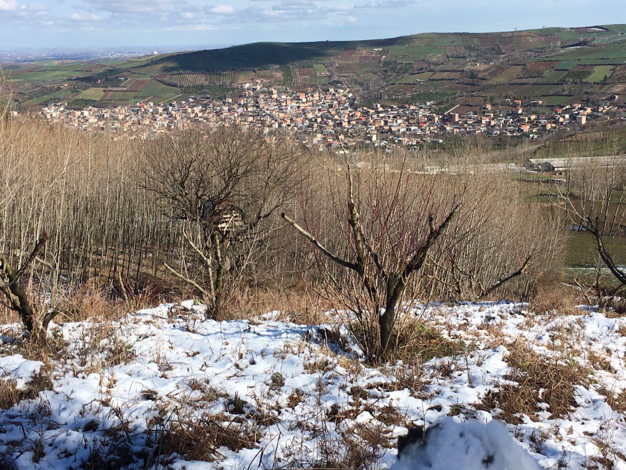 1_3_.jpg (1280×960)