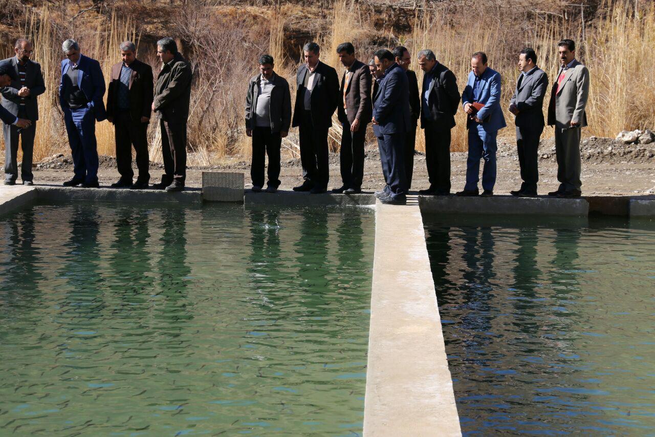 پرورش ماهی سیرچ