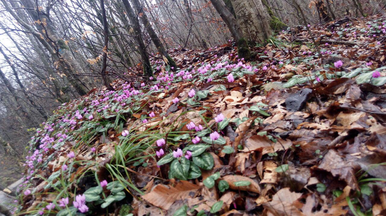 1_4_.jpg (1280×718)