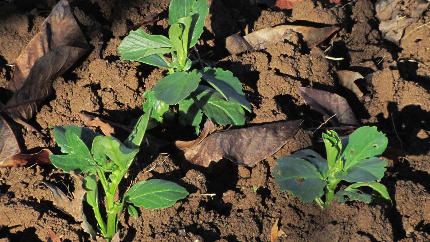 1_3_.jpg (1400×787)