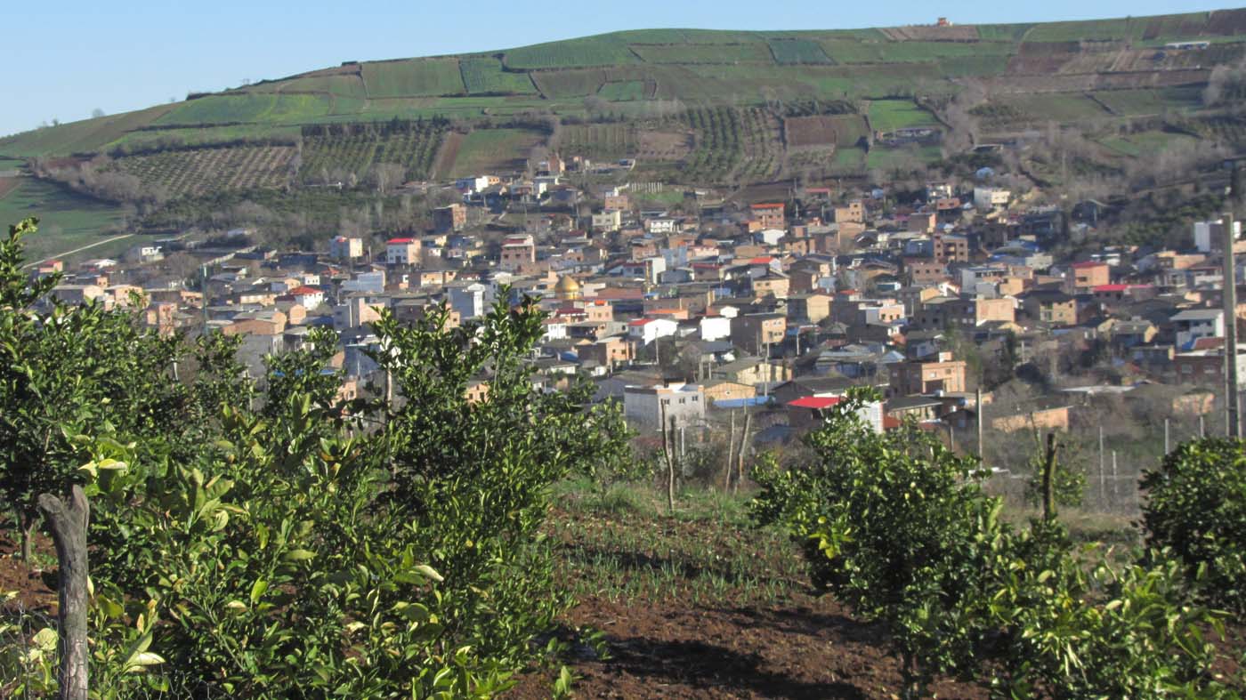 1_4_.jpg (1400×787)