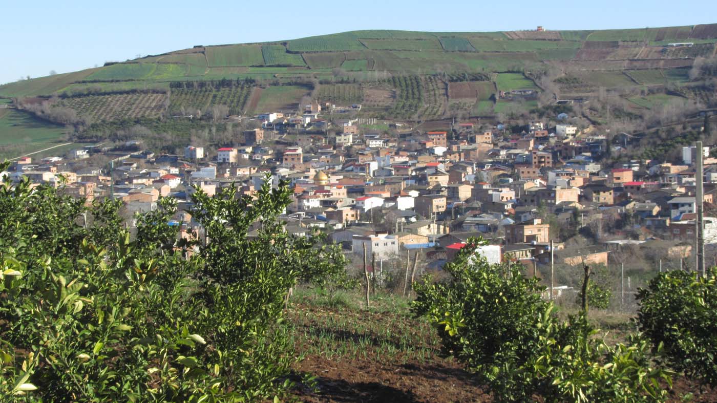 1_7_.jpg (1400×787)