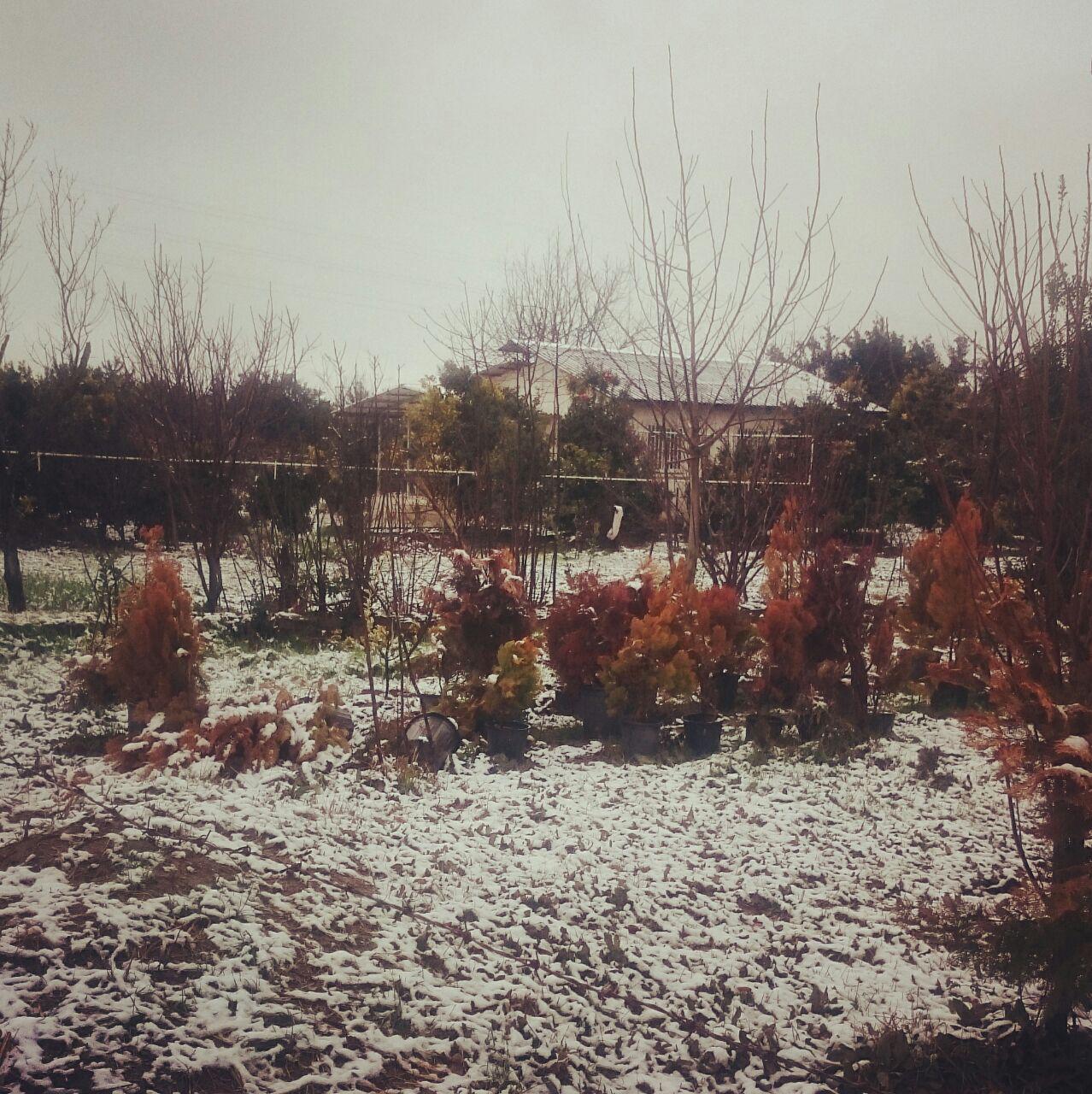 http://s4.picofile.com/file/8286835968/photo_2017_02_18_17_49_01.jpg