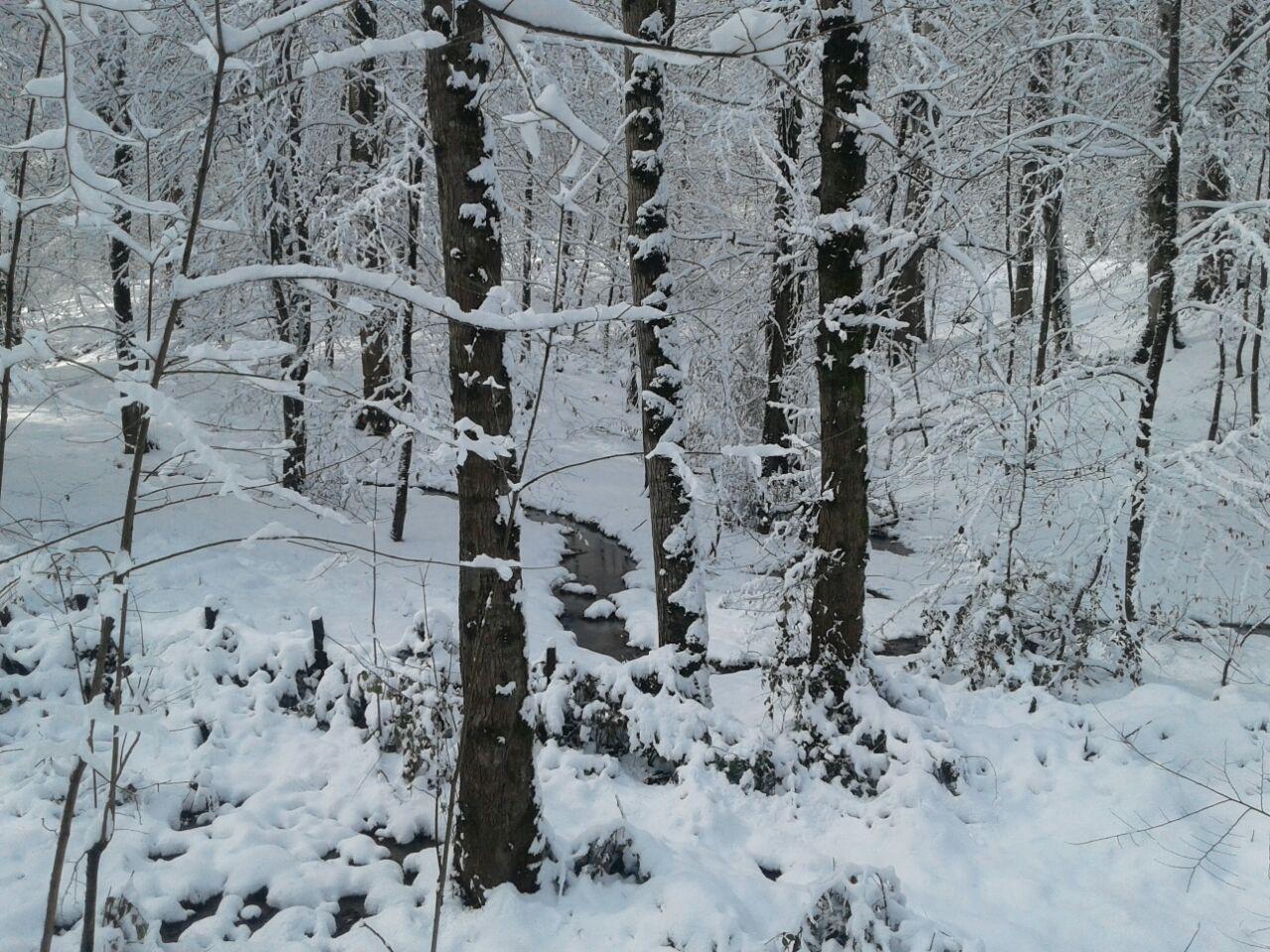 1_1_.jpg (1280×960)