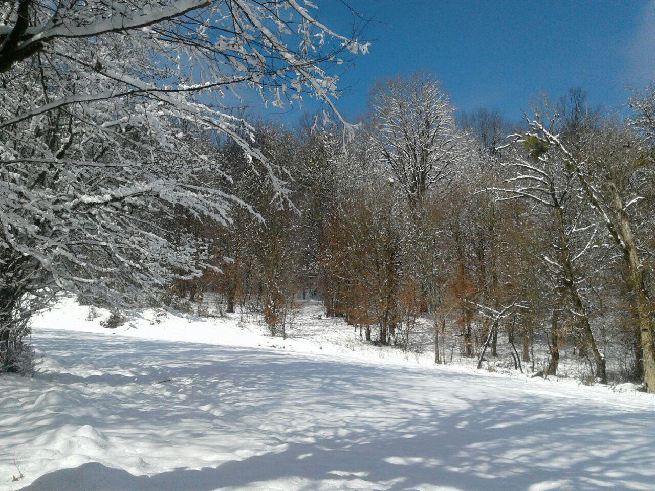 1_2_.jpg (1280×960)