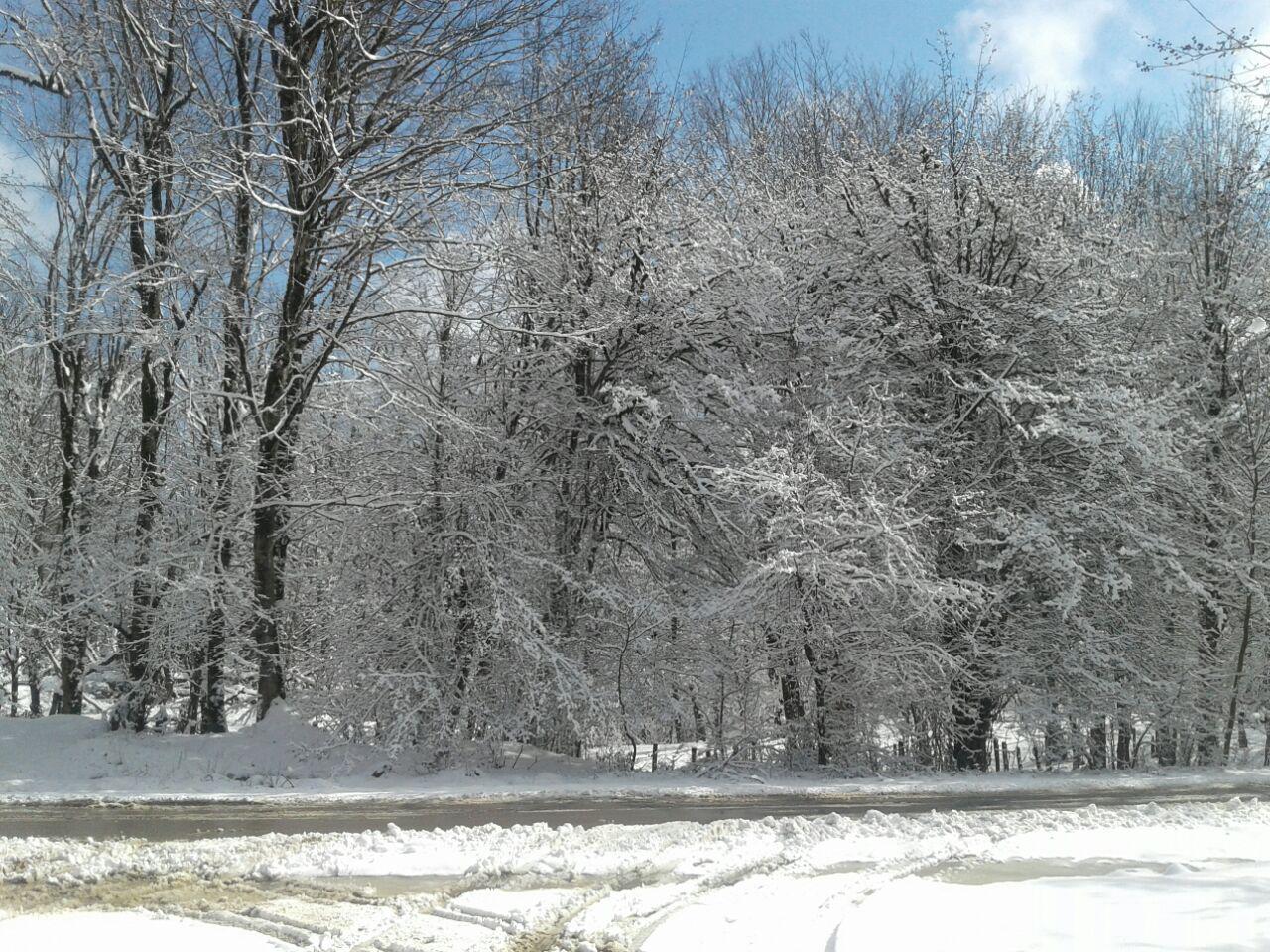 1_7_.jpg (1280×960)