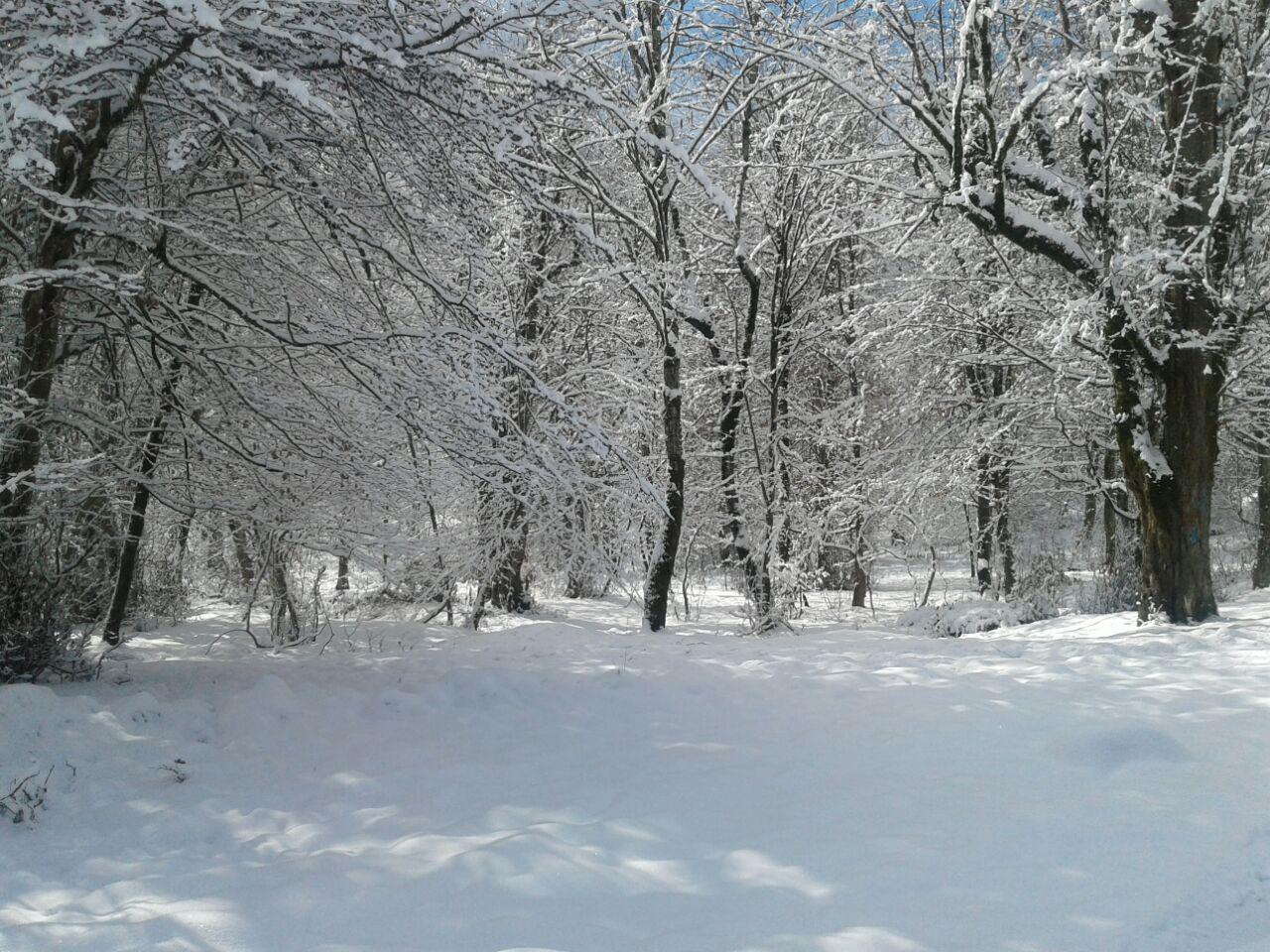 1_8_.jpg (1280×960)