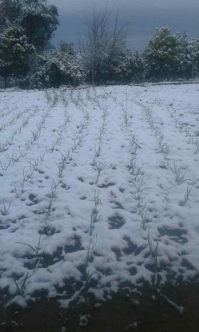 2_5_.jpg (768×1280)