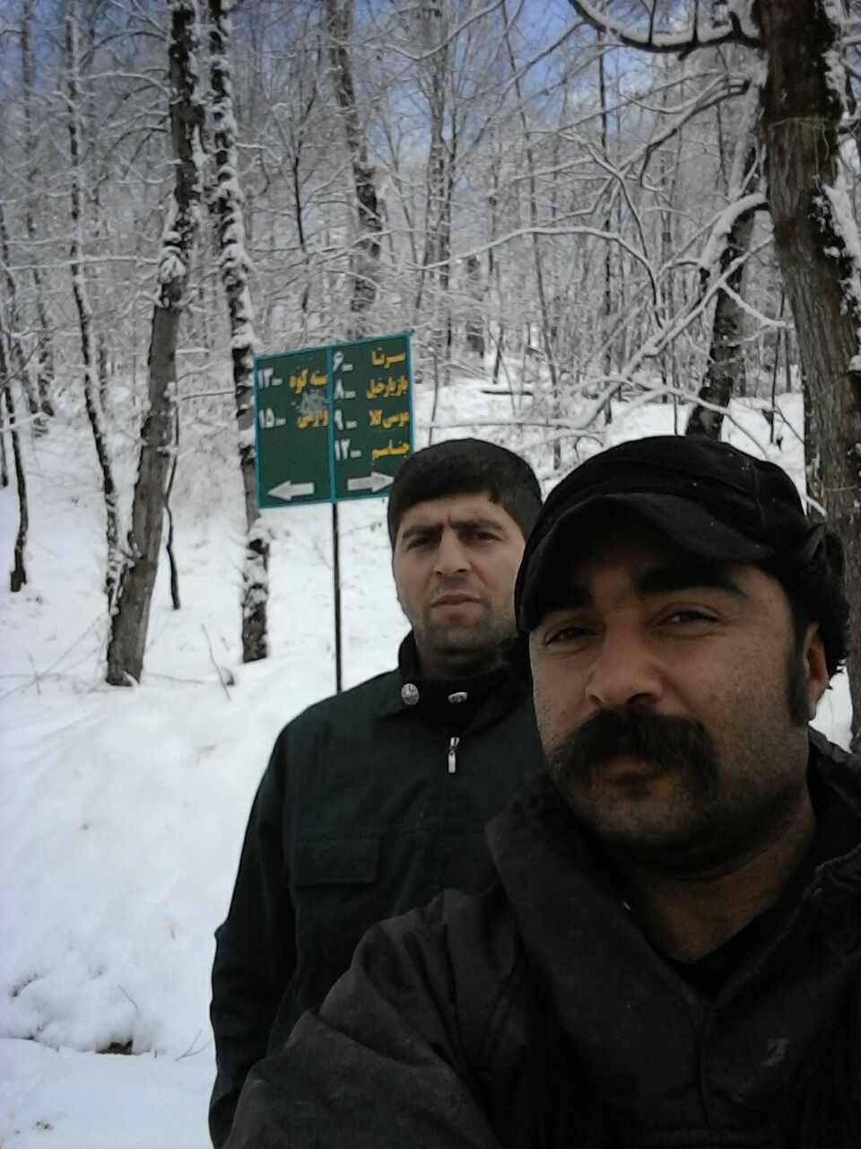 2_11_.jpg (960×1280)