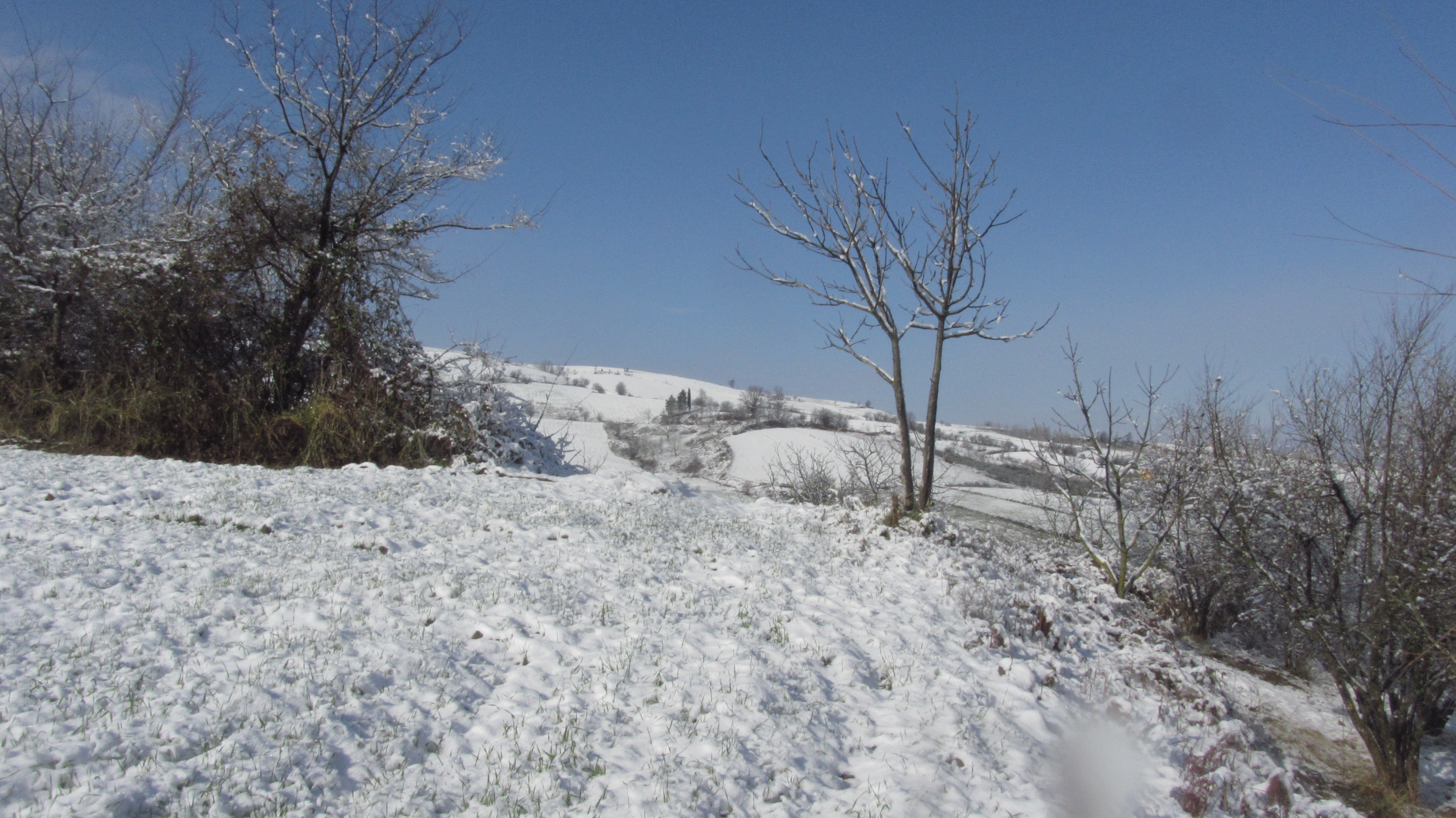 102.JPG (4000×2248)