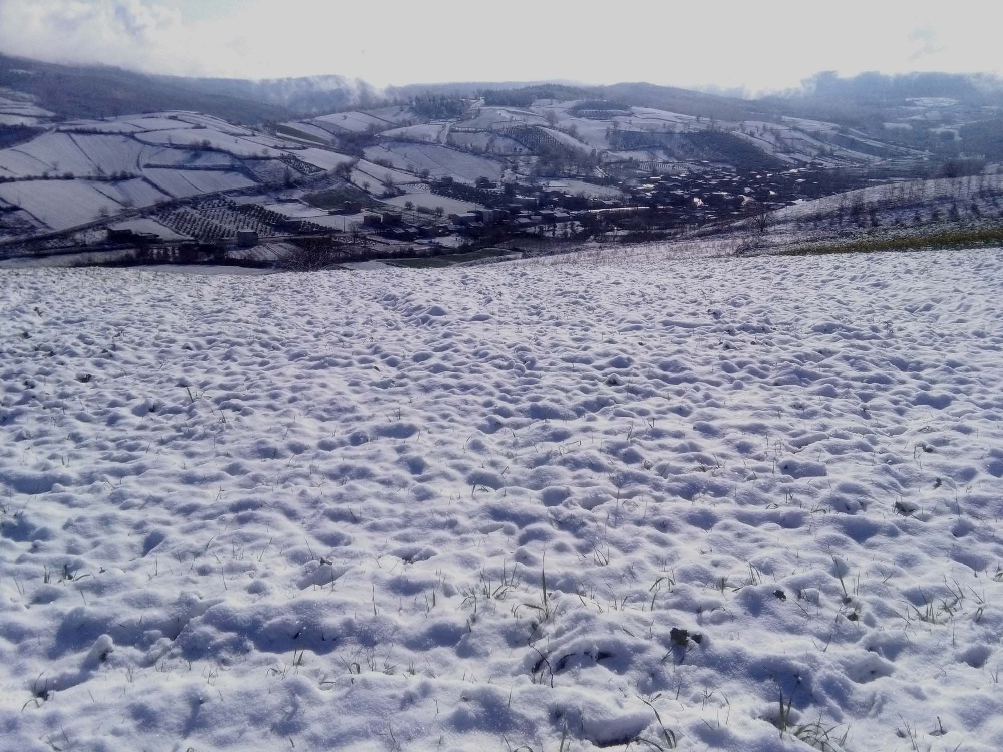 109.jpg (2000×1500)