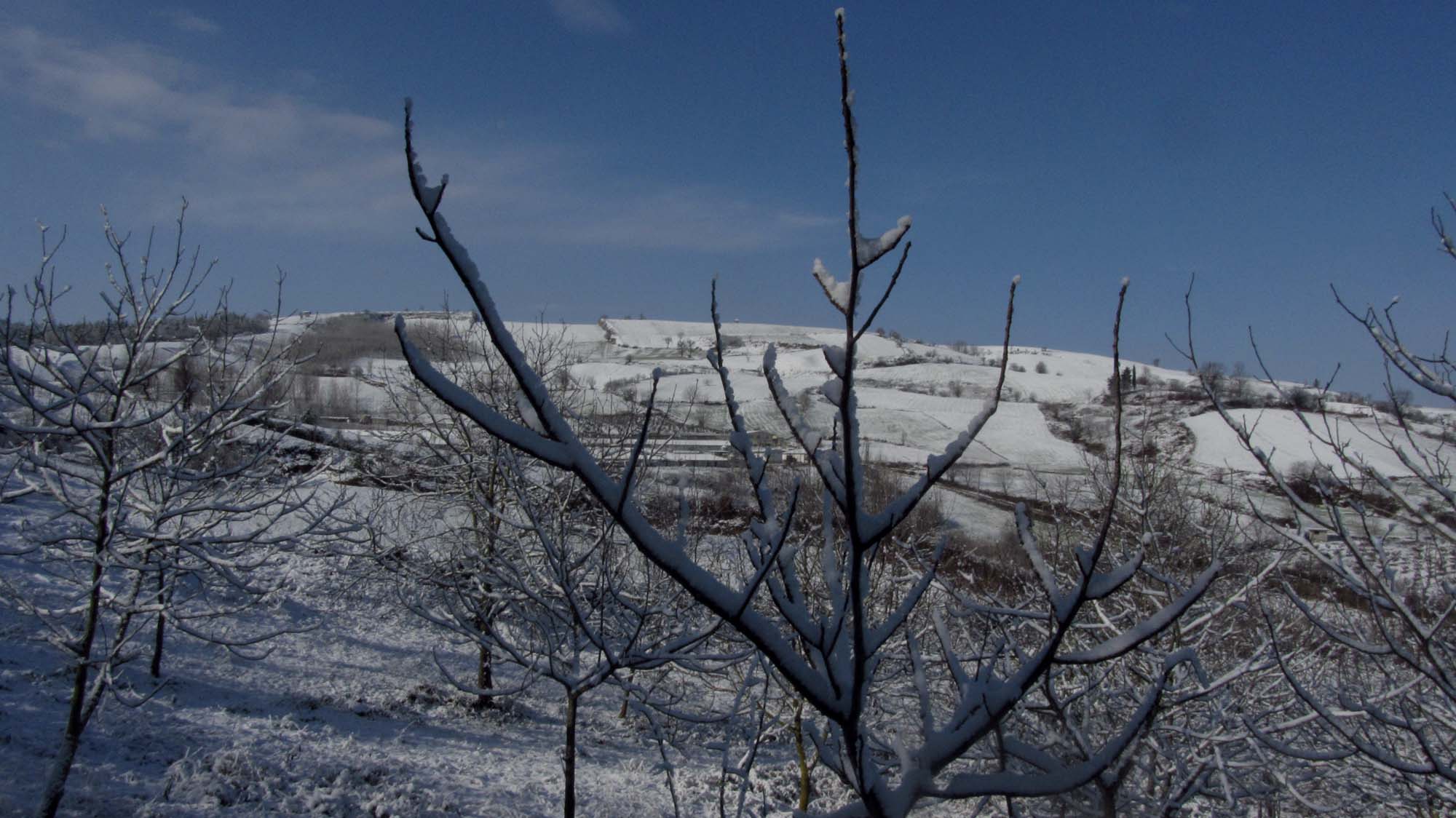 126.JPG (2000×1124)