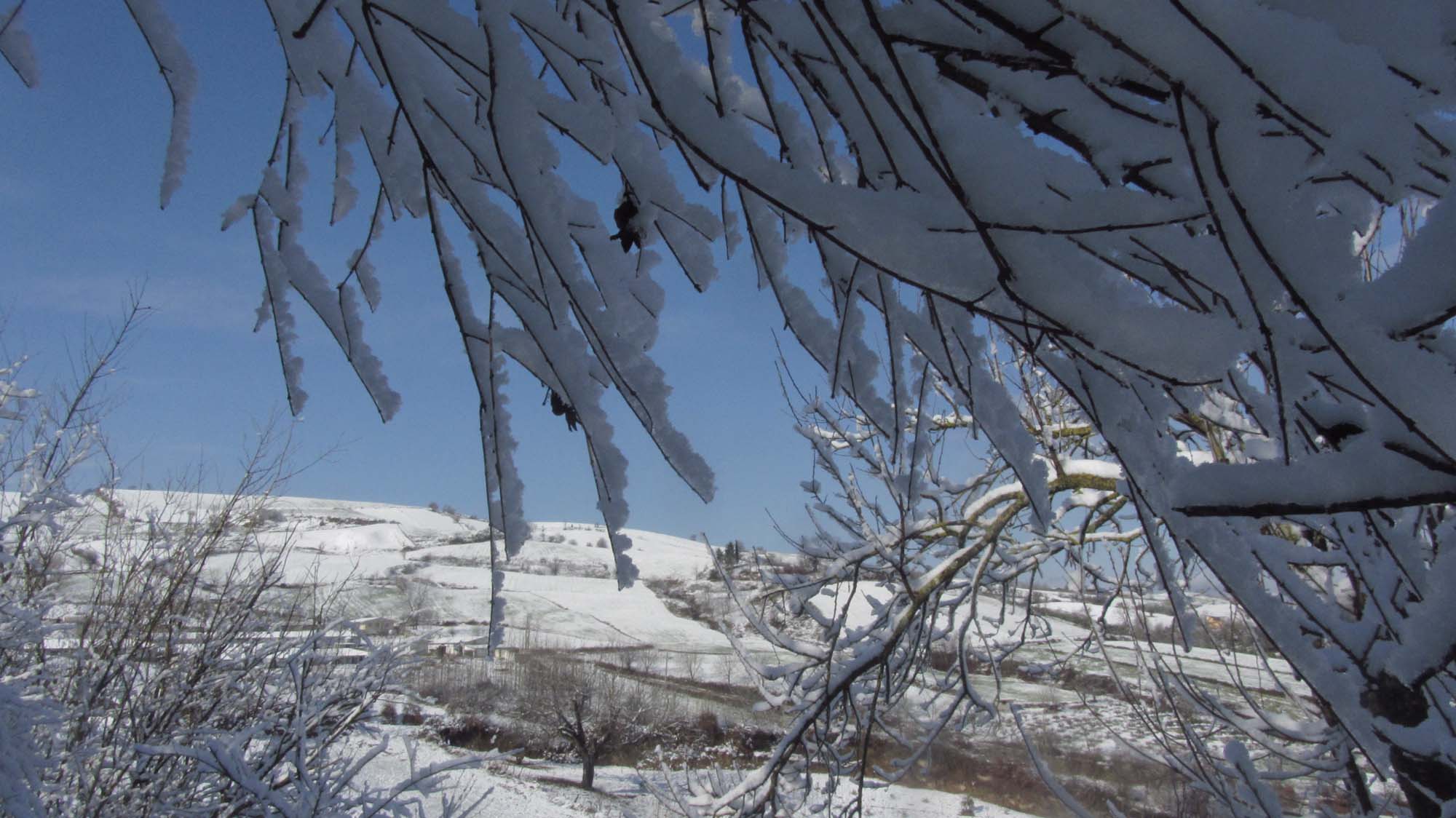 150.JPG (2000×1124)