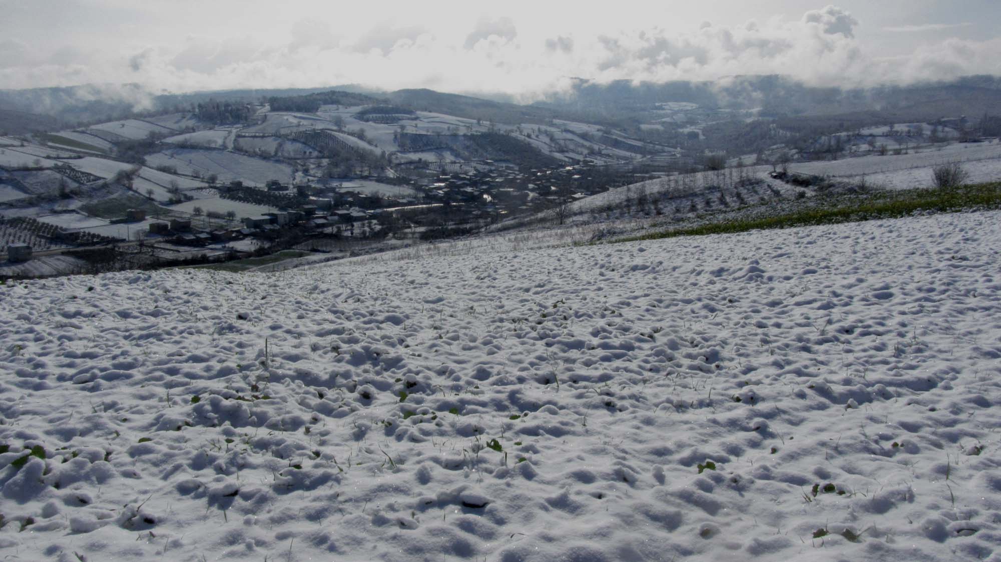 153.JPG (2000×1124)