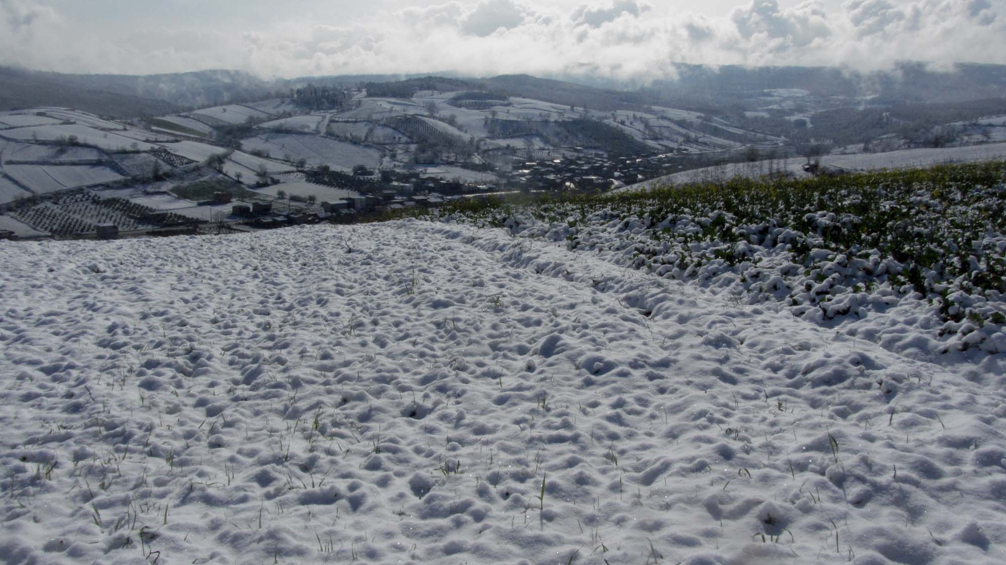 158.JPG (2000×1124)