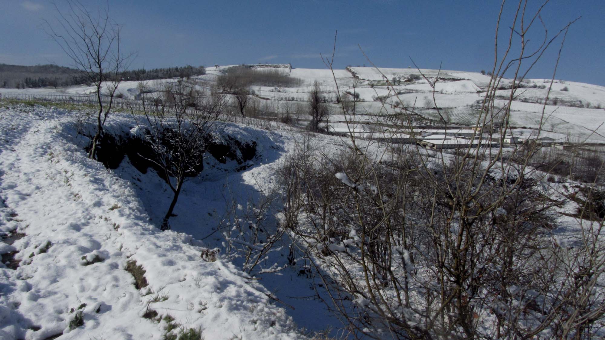 159.JPG (2000×1124)