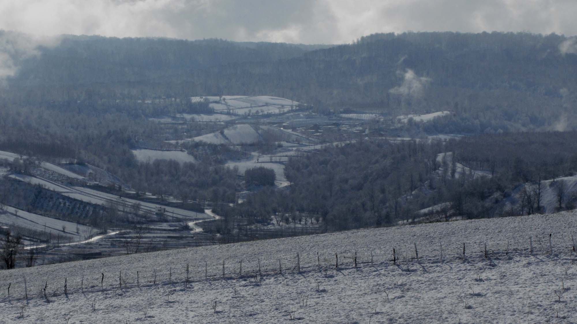 166.JPG (2000×1124)