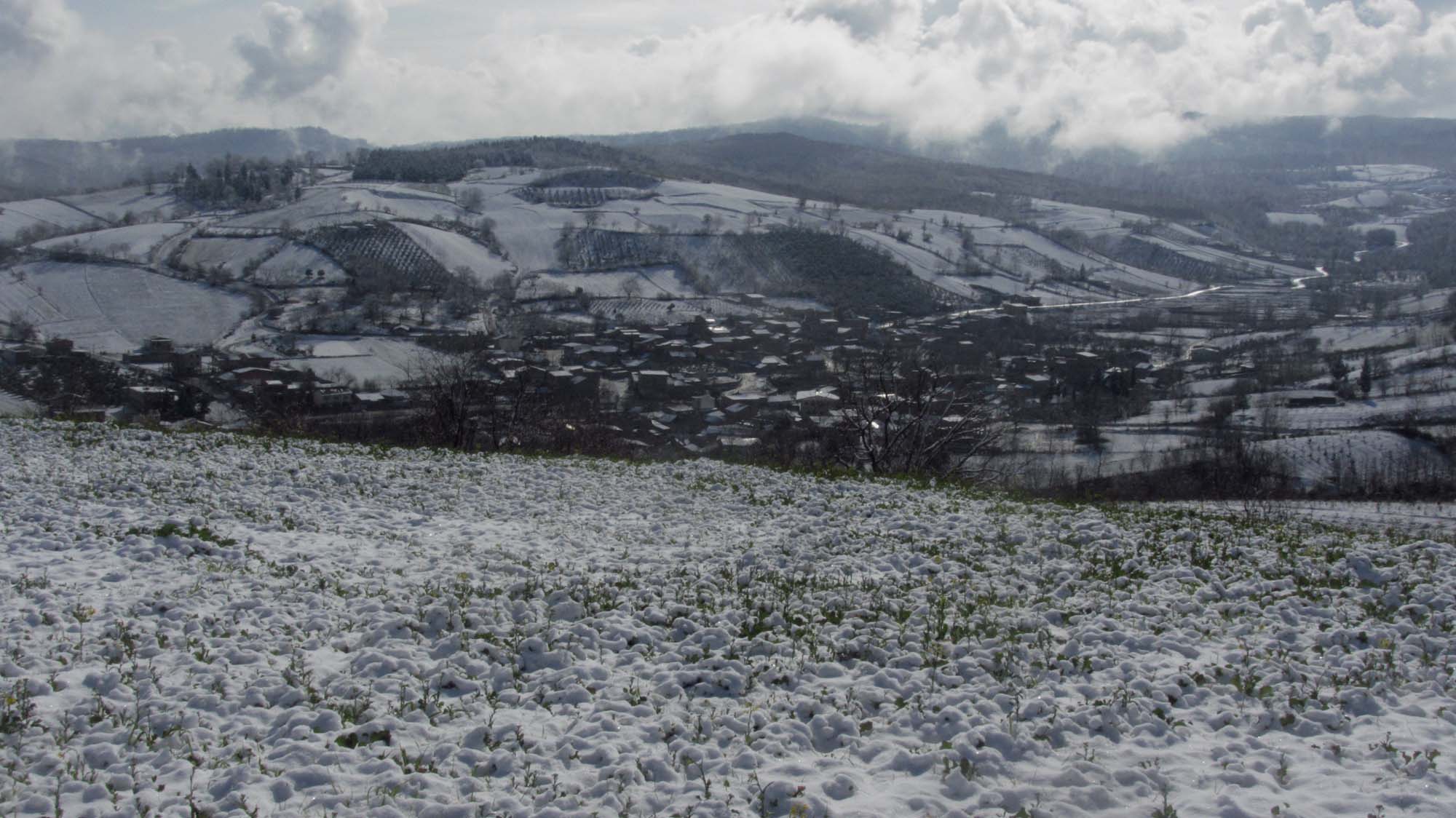 177.JPG (2000×1124)