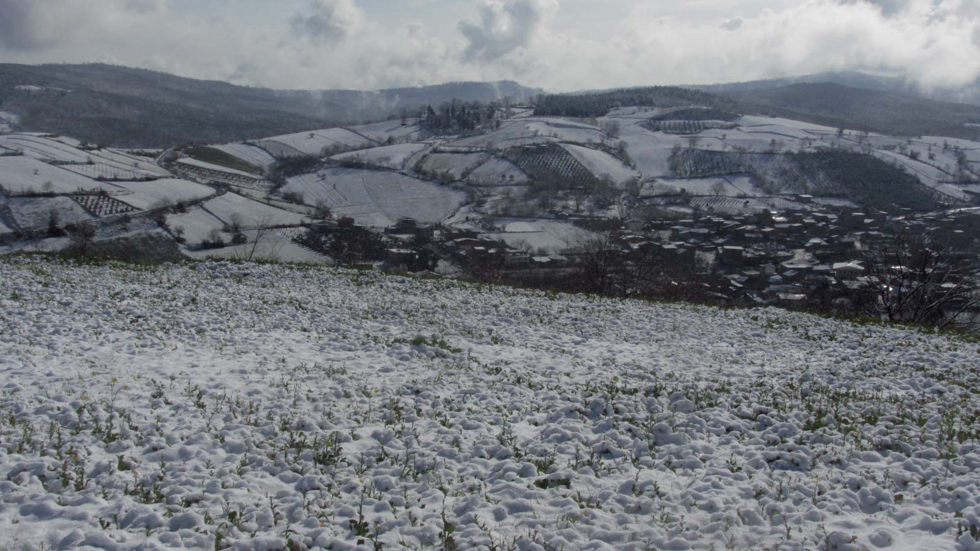 178.JPG (2000×1124)