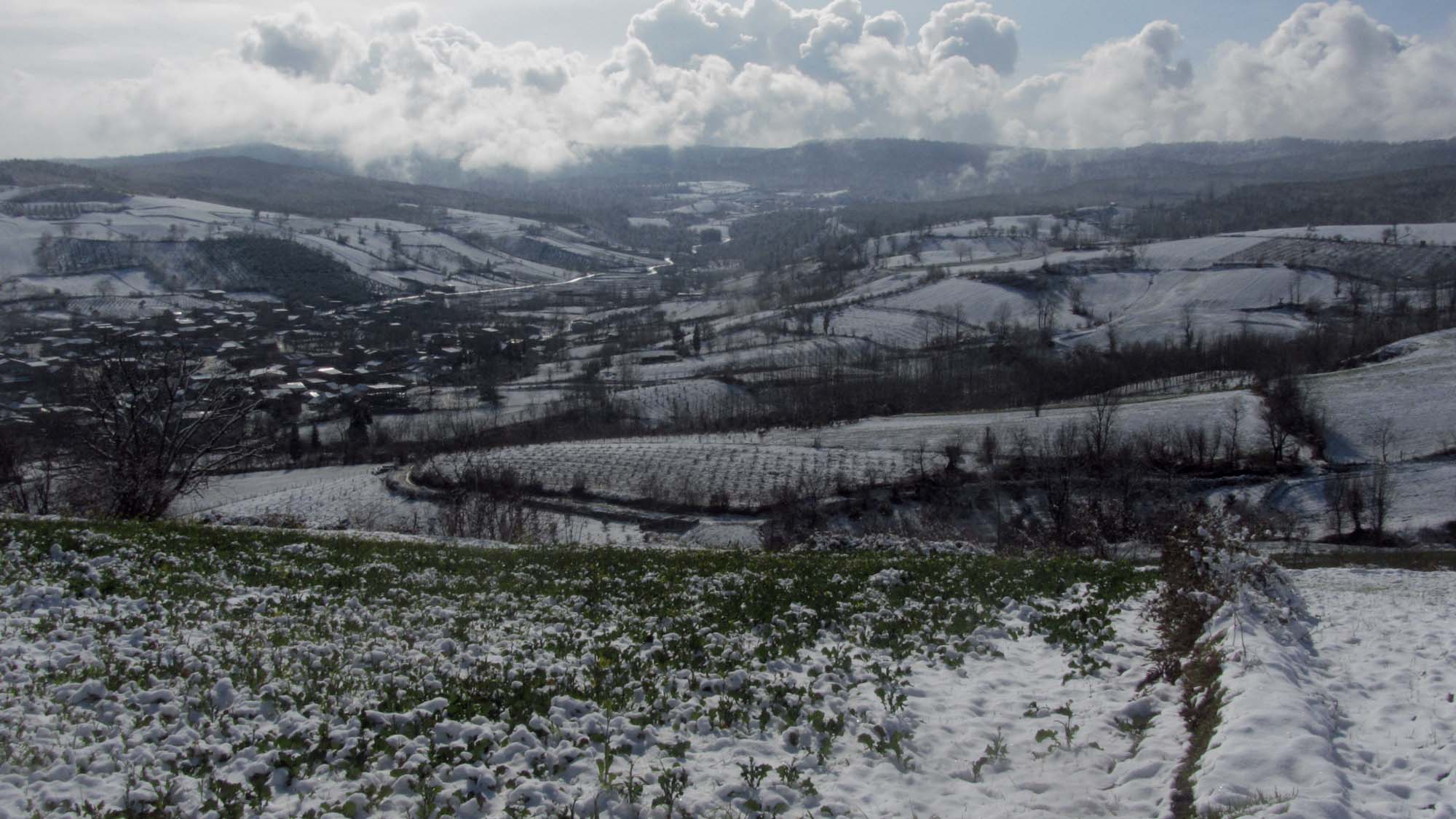 181.JPG (2000×1124)