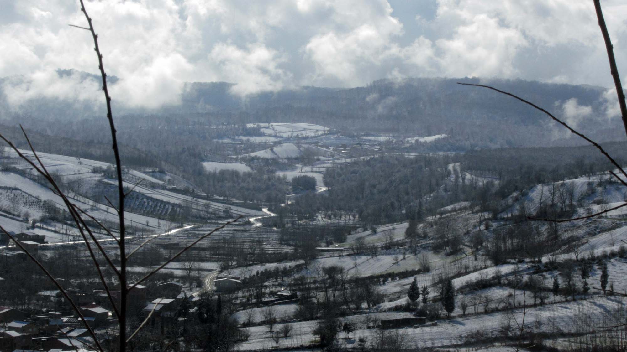 198.JPG (2000×1124)