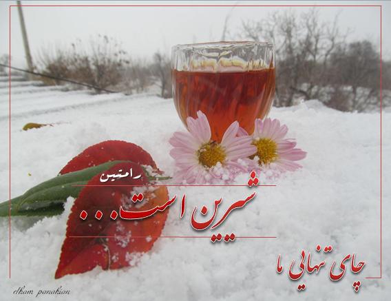 [تصویر:  v7p6_photo_2017_03_12_21_49_19.jpg]