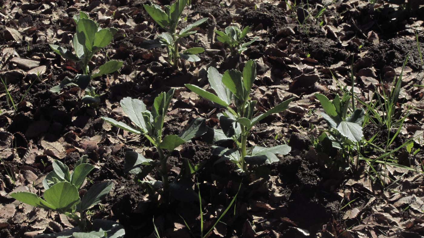 1_3_.jpg (1400×787)