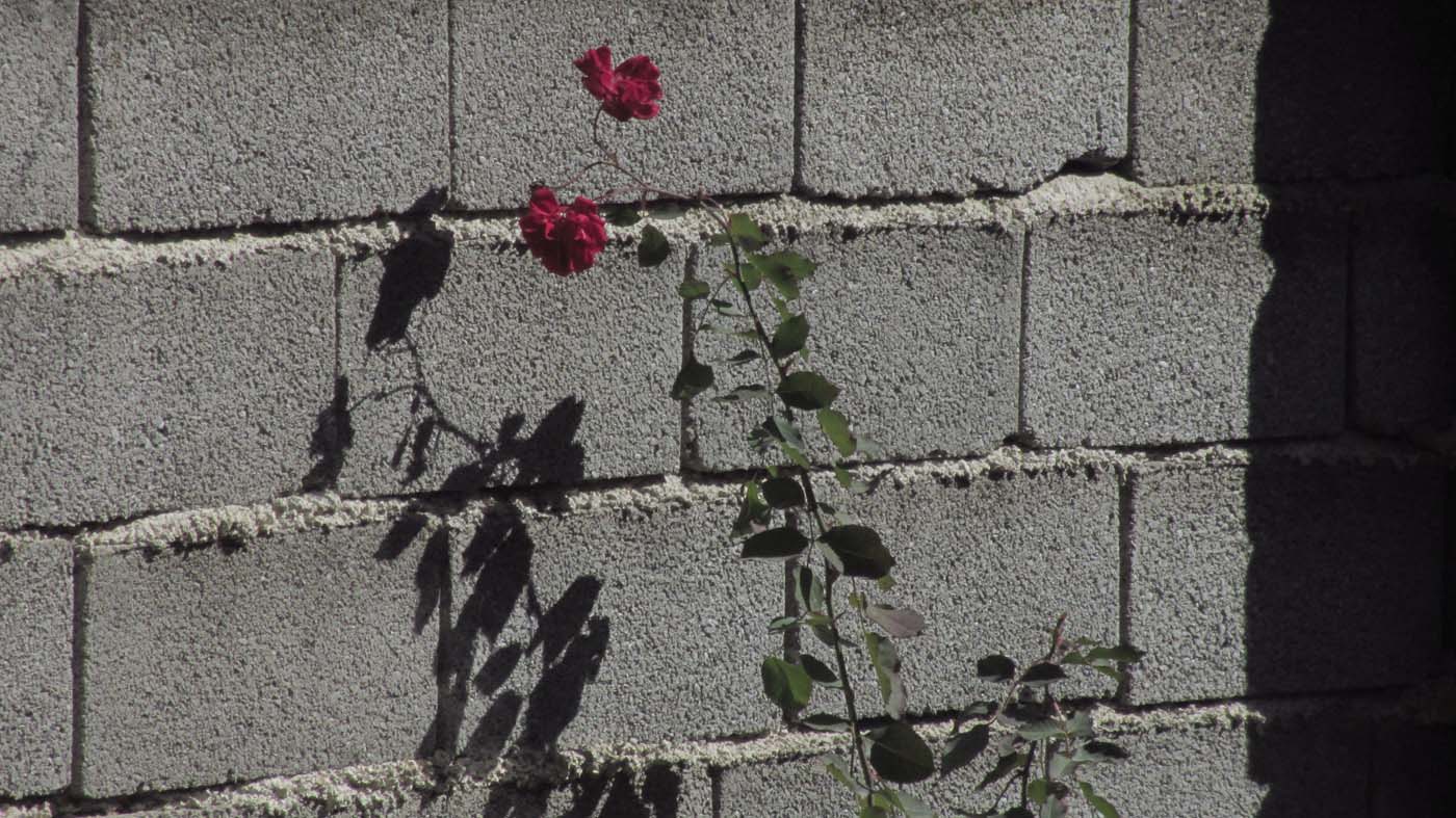 1_6_.jpg (1400×787)