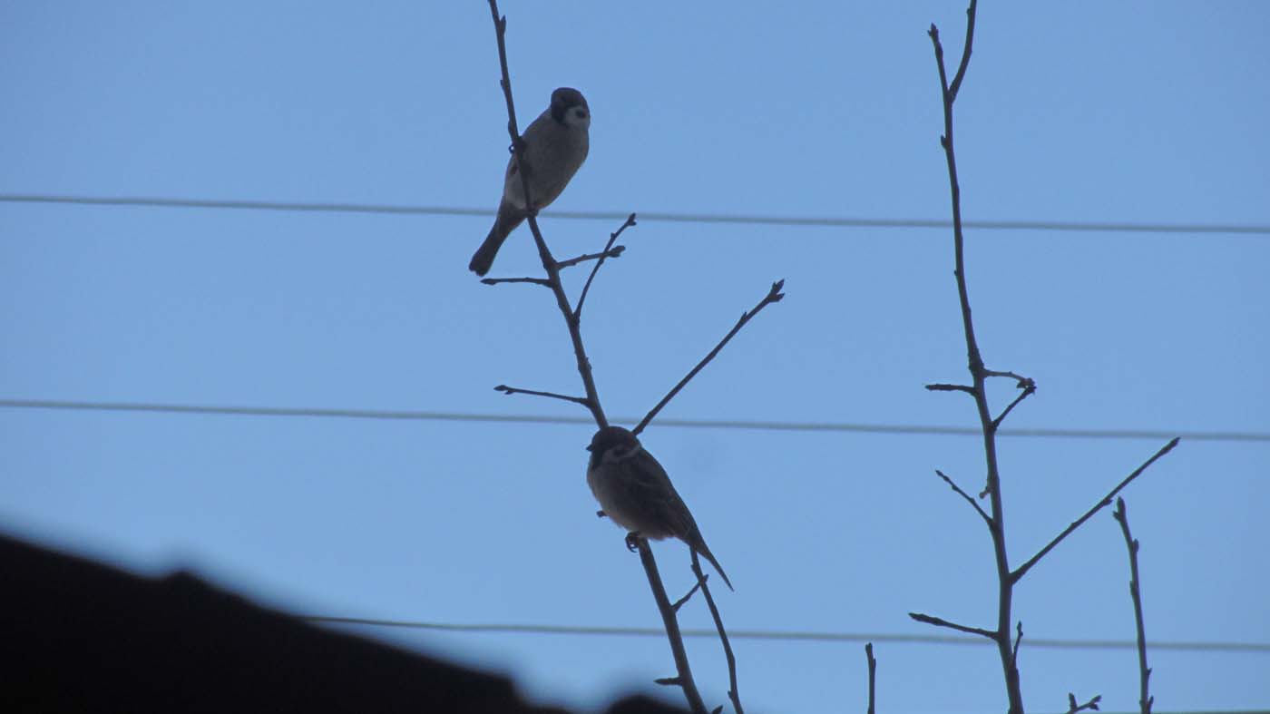 1_18_.jpg (1400×787)