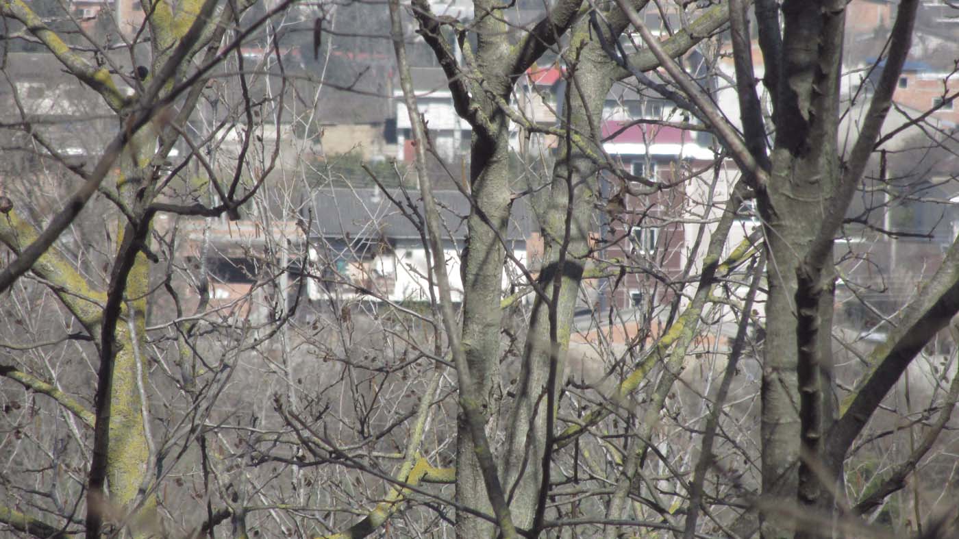 1_24_.jpg (1400×787)