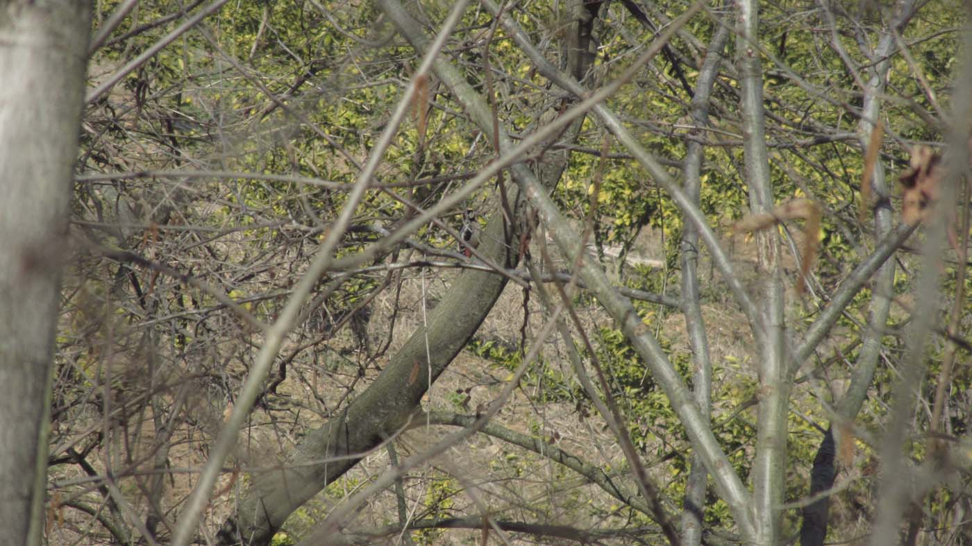 1_26_.jpg (1400×787)