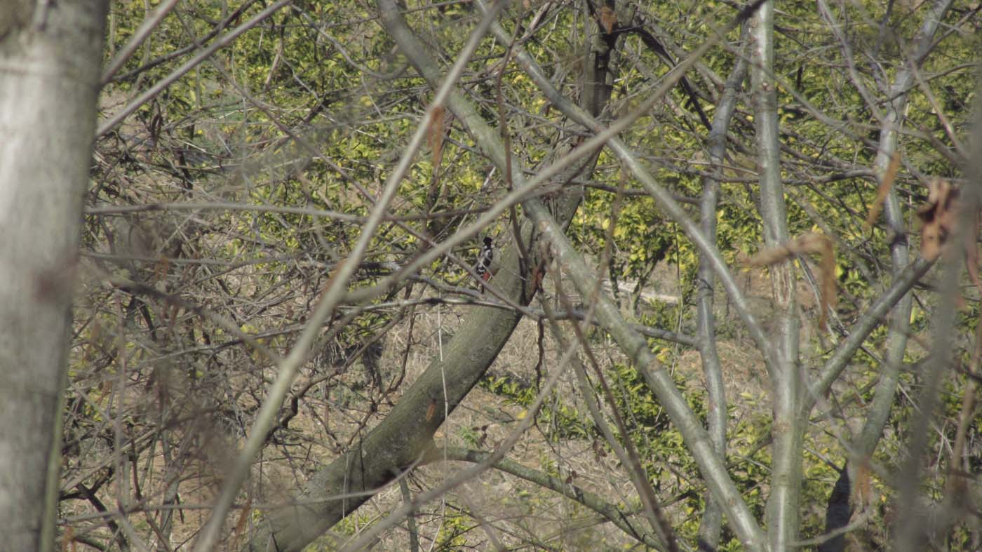 1_27_.jpg (1400×787)