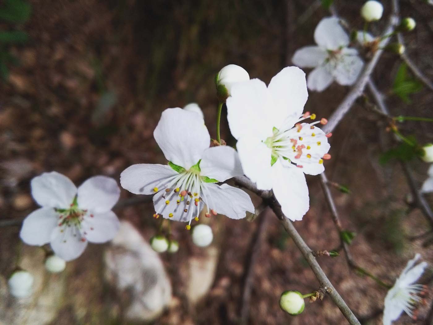 1_35_.jpg (1400×1050)