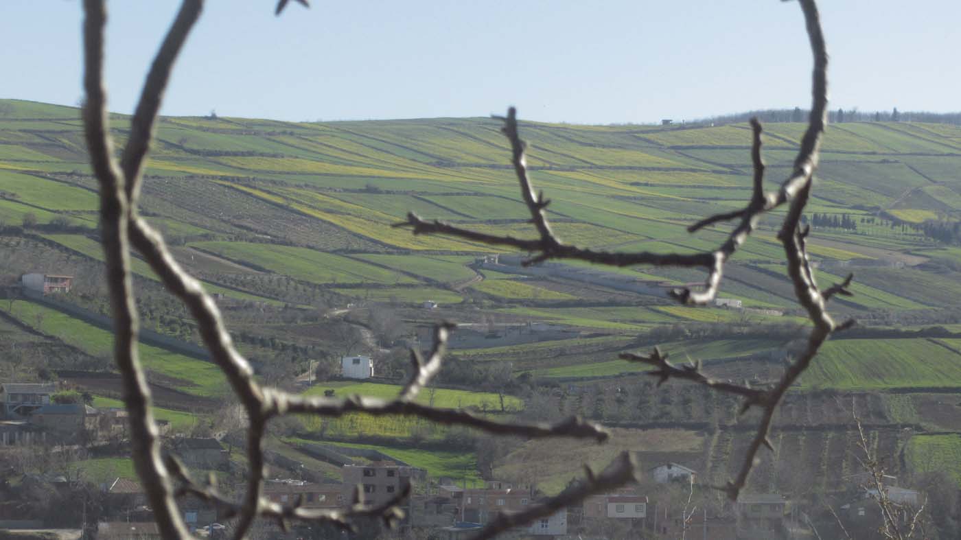 1_50_.jpg (1400×787)